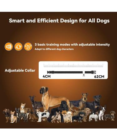 2000M Remote Range Dog Training Collar | Rechargeable with 4 Training Modes | LED Light, Sound, Vibration | IP67 Waterproof - Buy Online on GoSupps.com