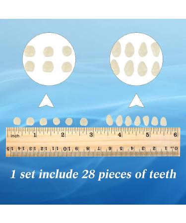 68-Piece Halloween Fake Teeth Set | Complete Acrylic Resin Denture Kit for Horror Props and DIY Models - 6 Sets Included | A2 Color - Buy Online on GoSupps.com