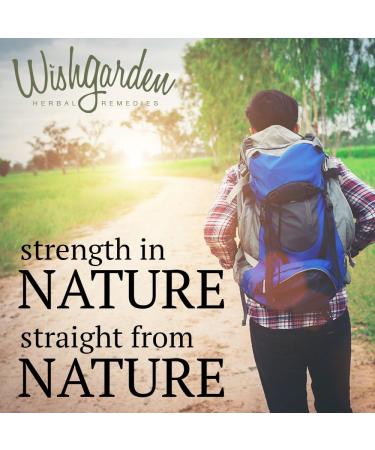 WishGarden Kick Ass Immune Activator 0.66 oz - Natural Immune Support - Buy Online on GoSupps.com