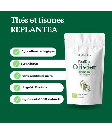 FEUILLE D'OLIVIER BIO 100g | Tisane de Feuilles d'olivier | Olivier Feuilles Coup es REPLANTEA - Buy Online on GoSupps.com