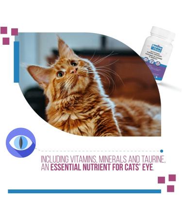Revive Active - Feline Vitamins Chewable Tablet 124ct Multivitamin & Mineral Supplement for Cats - All-in-one multivitamin to support your cat's health and wellness. - Buy Online on GoSupps.com