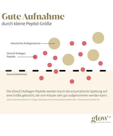 Buy GLOW25 Collagen Powder 300g - Premium Hydrolyzed Peptides Type 1 & 3 - Perfect Solubility - 20 Portions - International Shipping Available - Buy Online on GoSupps.com