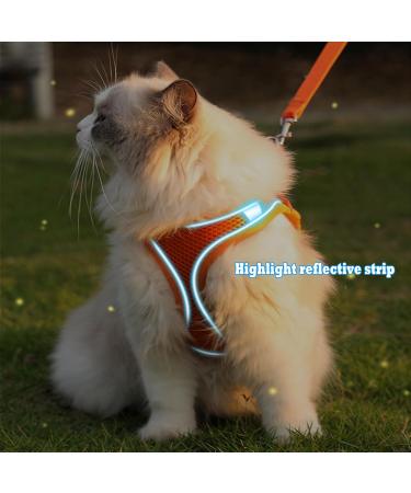 Buy Giapinst No Pull Dog Harness for Small Dogs | Adjustable Breathable Mesh Reflective Stripes - Medium Size (L Orange) - International Shipping Available - Buy Online on GoSupps.com