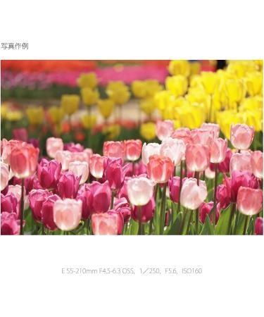 Sony E 55-210mm F4.5-6.3 Black Lens for E-Mount Cameras - Buy Now! - Buy Online on GoSupps.com