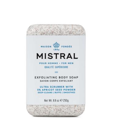 Mistral Bar Exfoliating Body Soap Organic  Cool Marine  Large Bar Exfoliating 8.8 Ounce
