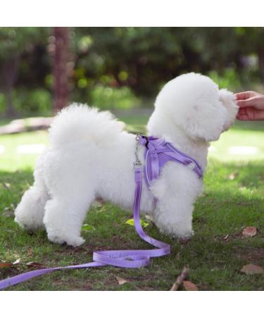 Buy Purple Padded Dog Harness for Small Dogs | XXS Puppy Harness for Comfort & Control - Buy Online on GoSupps.com