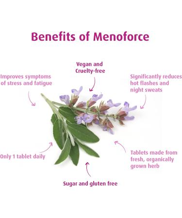 AVogel Organic Menopause Supplement - 90 CT | Natural Relief for Menopausal Symptoms - Buy Online on GoSupps.com