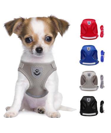 Let's go to the dog's harness Small dogs cat dishes with a leash reflective soft padded dog dishes air-mesh breast dishes for puppies Little dogs cats (chest: 29-33cm) gray - Buy Online on GoSupps.com