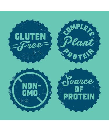 CLIF BUILDERS Protein Bars - Chocolate + Chocolate Mint | (68 Gram Non-GMO Bars 12 Count Each) Chocolate Mint Flavour + Bars - Chocolate - Buy Online on GoSupps.com