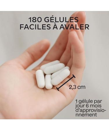 Zinc 25mg + Vitamine C - 3 Formes: Zinc Bisglycinate Picolinate Monomethionine Triple Zn Complement Alimentaire Haute Puissance Formule Spectre Complet - 180 Gelules - Buy Online on GoSupps.com