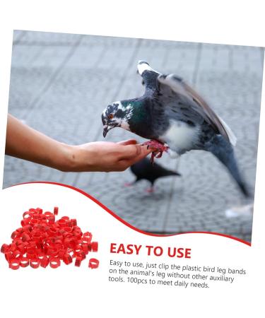 Beavorty 300 Pcs Pigeon Anklet Where Labels Bird Opening Feet Opening Pigeon Ring Plastic Clip Baby Poultry 1.3X1.3CMx3pcs Redx3pcs - Buy Online on GoSupps.com