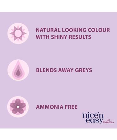 Clairol Nice'n Easy No Ammonia Hair Dye 76 Light Golden Brown - Buy Online on GoSupps.com