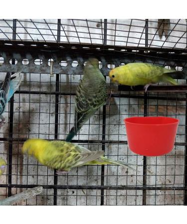 AMZSYLV 10 Pack Bird Cage Feeding Cups - Hanging Parrot Food Dishes & Waterers for Pigeon, Quail, Parakeets - Red - Buy Online on GoSupps.com