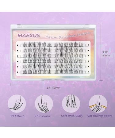 MAEXUS Individual Lash Clusters - 72 Natural Look Extension Clusters for Manga & Anime Wispy Eyelashes - Buy Online on GoSupps.com