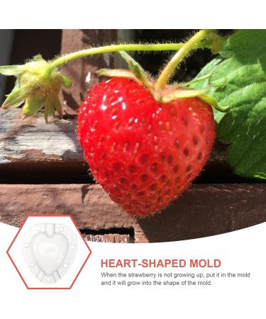 SUPVOX 15 Pcs Fruit Shaping Vegetables Growth Molds Vegetable Growing Molds Watermelon Heart-Shaped 4.5x4cmx3pcs Whitex3pcs - Buy Online on GoSupps.com