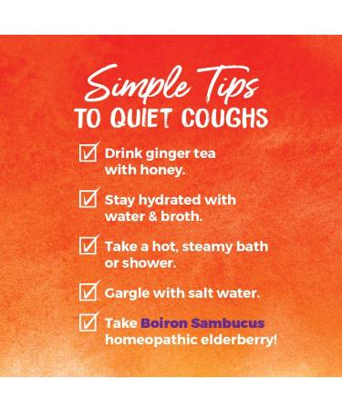 Boiron Sambucus Cough & Cold Relief Meltaway Pellets - 80 Count | Natural Relief - Buy Online on GoSupps.com