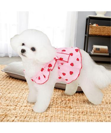 Shenrongtong Sweet Dog Dresses for Small Dogs | Cute Strawberry Print Puppy & Cat Clothing | Perfect for Girls - Buy Online on GoSupps.com