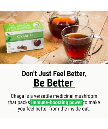 Chaga Mix Supplements - Shilajit Resin (30 g) 7 Mushroom Extract Powder Chaga Extract + Reishi Extract Capsules (90 Capsules) Chaga Mushroom Tea (20 Bags) - Buy Online on GoSupps.com