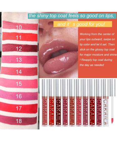 FAEYLI 9Pcs Matte Liquid Lipstick + 1Pcs Lip Plumper Set | Long Lasting & Waterproof Lip Gloss Kit - Buy Online on GoSupps.com