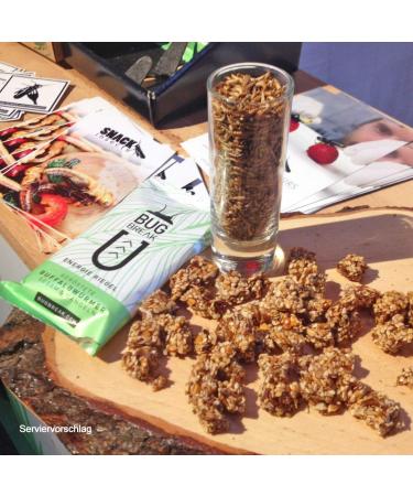 Buy Bug-Break Insect Bars - 3x36g Energy Bars with Edible Insects | Sustainable Protein Snack - Buy Online on GoSupps.com