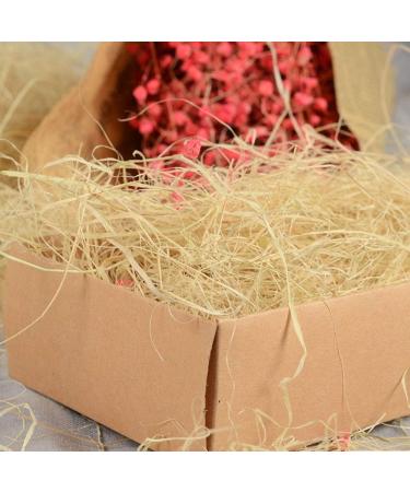 VICV2RO Nesting Material Decoration Soft Multipurpose Reusable Gift Packing Easy Apply Small Bird Safe Raffia Grass Box Fillers Canary Finch Pet House Practical - Buy Online on GoSupps.com
