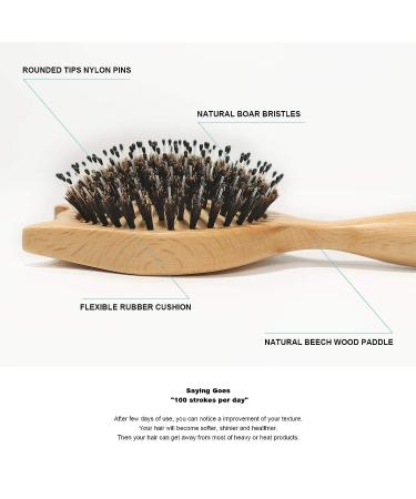 Bestool Small Travel Hair Brush for Women, Men, and Kids - Wooden Boar Bristle Brush for Detangling, Defrizzing, and Oil Distribution - Buy Online on GoSupps.com