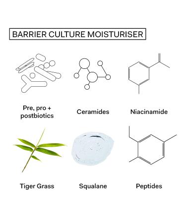The Nue Co. BARRIER CULTURE MOISTURIZER - Prebiotic + Probiotic Skincare - Anti-Pollution Formula - Buy Online on GoSupps.com