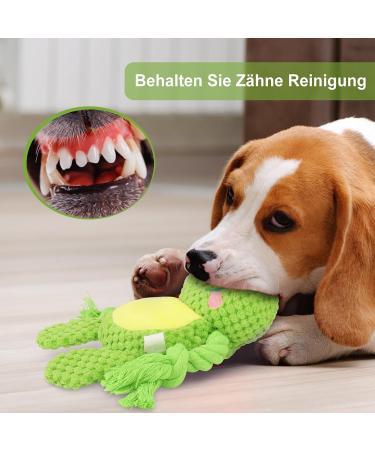 Tonyfy Dog Toys - Interactive Squeaky Plush Frog for Puppies & Small/Medium Dogs | Durable Cotton Rope & Crinkle Paper Fun - Buy Online on GoSupps.com