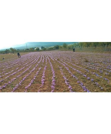  AP PASION POR EL AZAFRAN Box of 12 x 4 g Azafran Heroes Made in Spain Supreme Class I (ISO 3632-2) Great Flavour and Colour (12 x 4 g) - Buy Online on GoSupps.com