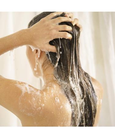 Buy Shampoo Bar One & Done for All Hair Types - Argan Oil - 4oz | Eco-Friendly Vegan & Zero Waste - Buy Online on GoSupps.com