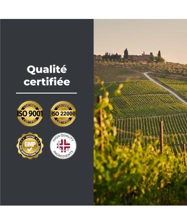 Bandini Lactase DEPOT 15000 FCC | 80 Extended Release Tablets (6 HOURS) | Fights Lactose and Milk Intolerance | Promotes Lactose Digestion | Plant Digestive Enzyme | No GMO - Buy Online on GoSupps.com