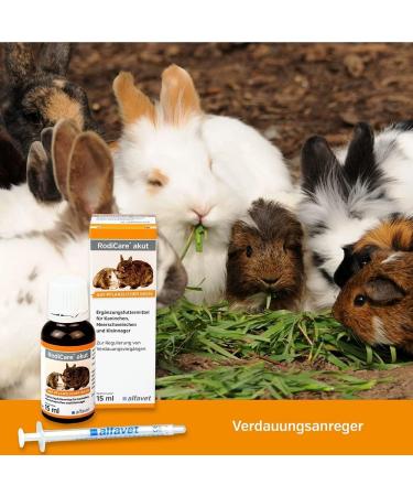 Alfavet Rodicare Acute Supplement - Digestive Aid for Rabbits Guinea Pigs & Small Rodents | 15ml Glass Bottle with Dosing Sprayer - Buy Online on GoSupps.com