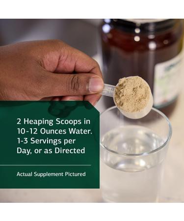 Standard Process SP Detox Balance Chai - Gluten-Free Cleanse Formula with Magnesium, Iron, Creatine, Protein & Monk Fruit Extract - Buy Online on GoSupps.com