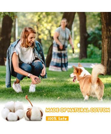 Vivifying Dog Rope Ball 2 Pack Braided Cotton Chew Balls for Dental Care & Play - Buy Online on GoSupps.com