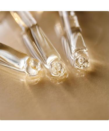 Arganicare | Castor Oil Range | ORGANIC OILS 3-1 | Castor | Reduces the Appearance of Scars Treats Damaged Skin & Prevents Stretch Marks | High Hydration | 100% vegetable | 400mL - Buy Online on GoSupps.com