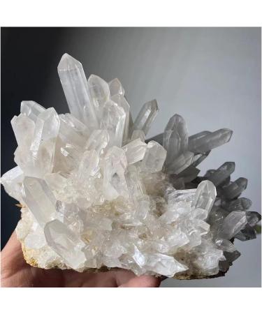 1pc Natural Rare White Quartz Crystal Cluster Specimen Decoration (Size : 80-100g) - Buy Online on GoSupps.com