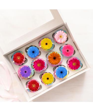 24 x Precut Gerbera Multicolour Flower Edible Wafer Paper 2D Floral Cupcake Topper Decoration For Cakes - Buy Online on GoSupps.com