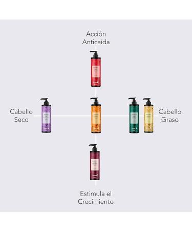 Ebers Shampooing Stimulant Sans Sulfate 250 ml (Oignon Lavande et Romarin) protection de la couleur avec des ingr dients d'origine naturelle - Buy Online on GoSupps.com