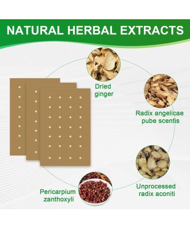 MYMULIKE Heat Patches Herbal Plaster Maximum Strength Joint Patches - 60 Count - Buy Online on GoSupps.com