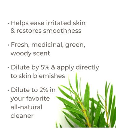 Buy Plant Therapy Tea Tree Essential Oil Roll-On 100% Pure | Natural Aromatherapy | Therapeutic Grade 10 mL | Fast International Shipping - Buy Online on GoSupps.com