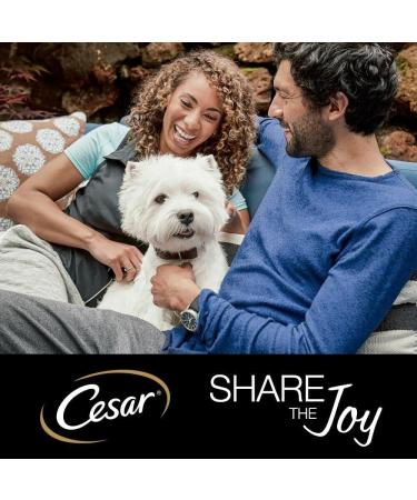 Cesar Country Stew Dog Food Chicken and Vegetable 24 x 150 g Country Stew with Chicken & Vegetable in Gravy 150 g (Pack of 24) - Buy Online on GoSupps.com