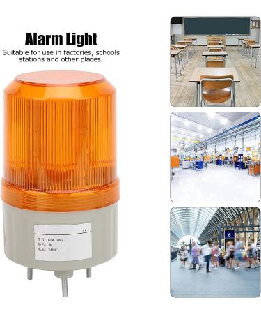 50 pieces lights with pre-wired diodes available To answer the question a variety 12 V user scenarios (Red Light) Durable Processed - Buy Online on GoSupps.com
