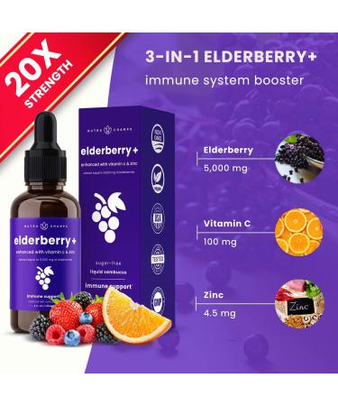 Organic Elderberry Syrup 5000mg Strength with Zinc & Vitamin C - Immune System Support for Kids & Adults | Vegan Sambucus Nigra Antioxidant Drops - 4oz - Buy Online on GoSupps.com