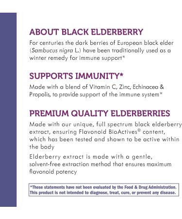 Nature's Way Sambucus Immune* Elderberry Syrup with Echinacea Zinc & Vitamin C 4 Oz (Pack of 2) - Buy Online on GoSupps.com