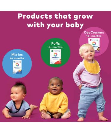 SpoonfulONE Organic Blueberry Oat Crackers | Allergen Introduction Snack for Baby 12+ Months | 0.39 oz (Pack of 7) - Buy Online on GoSupps.com