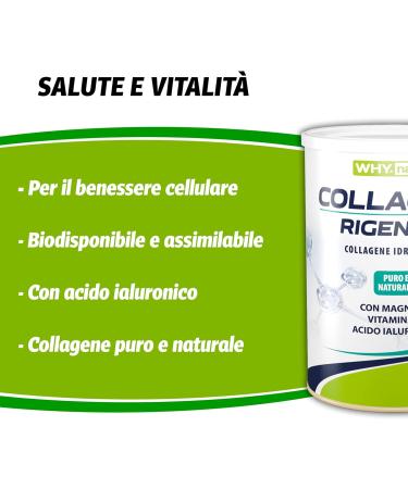  WHY NATURE WHY NATURE REGENERA COLLAGEN - Pure Natural Hydrolyzed Collagen - With Magnesium Vitamin C & Hyaluronic Acid - Neutral Taste - 330g - Buy Online on GoSupps.com