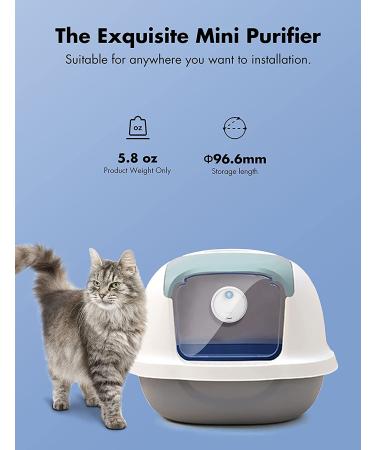 Qimic Cat Litter Deodorizer - Rechargeable Dust-Free Odor Eliminator for Litter Box, Shoe Box, and Kitchen - Buy Online on GoSupps.com