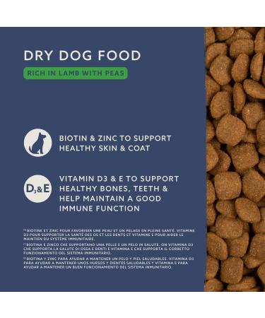 by Amazon - Complete Adult Dog Food Rich in Lamb and Rice 5 kg Pack of 1 - Buy Online on GoSupps.com