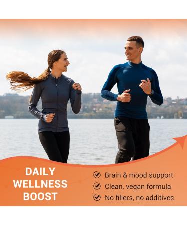 Heivy Acetyl L-Carnitine (ALCAR) 500 mg, 180 Capsules, Amino Acid Support for Brain Function & Nerve Health, Non-GMO and Gluten Free, 1 Capsule per Serving 180 Count (Pack of 1) - Buy Online on GoSupps.com