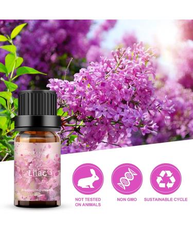 Sedbuwza Lilac Essential Oil - Fragrance for Diffuser, Humidifier, Soap, Candle, Perfume - 10ML (0.33 Fl Oz) - Buy Online on GoSupps.com